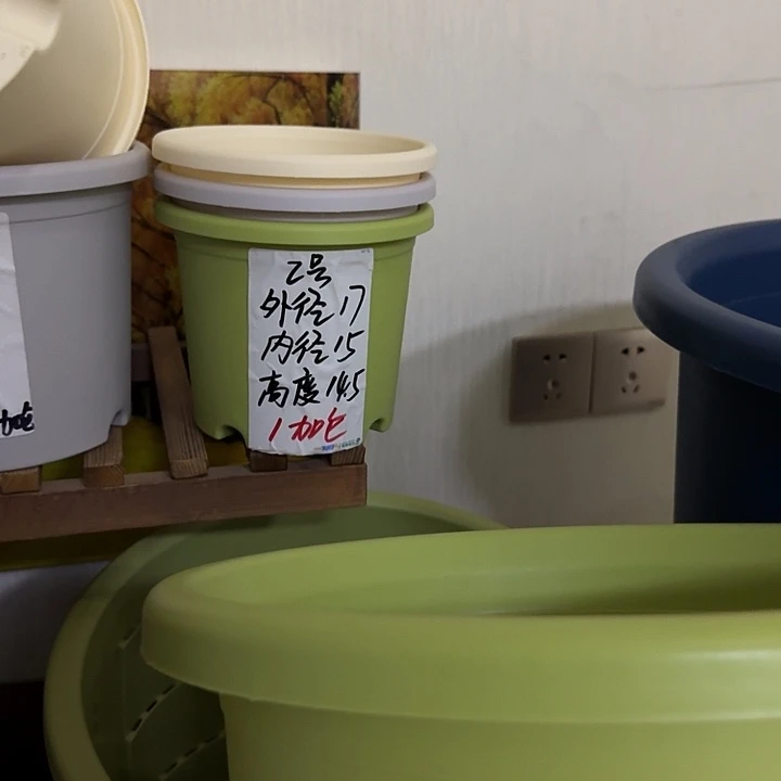 灰白色2号口径17高14.5无托10个