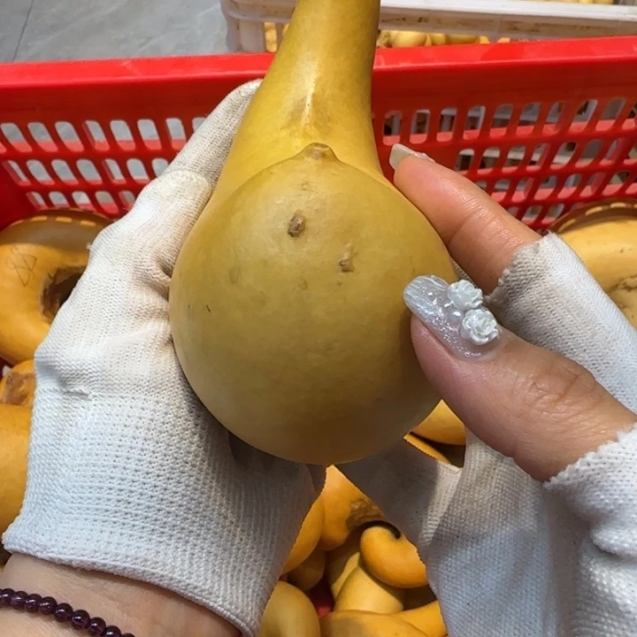 A*子哈哈哈哈哈哈哈哈哈哈