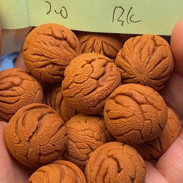 吊坠桃核秦岭龙纹桃核20尺寸