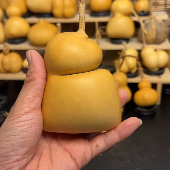 溯*155589966666655599
