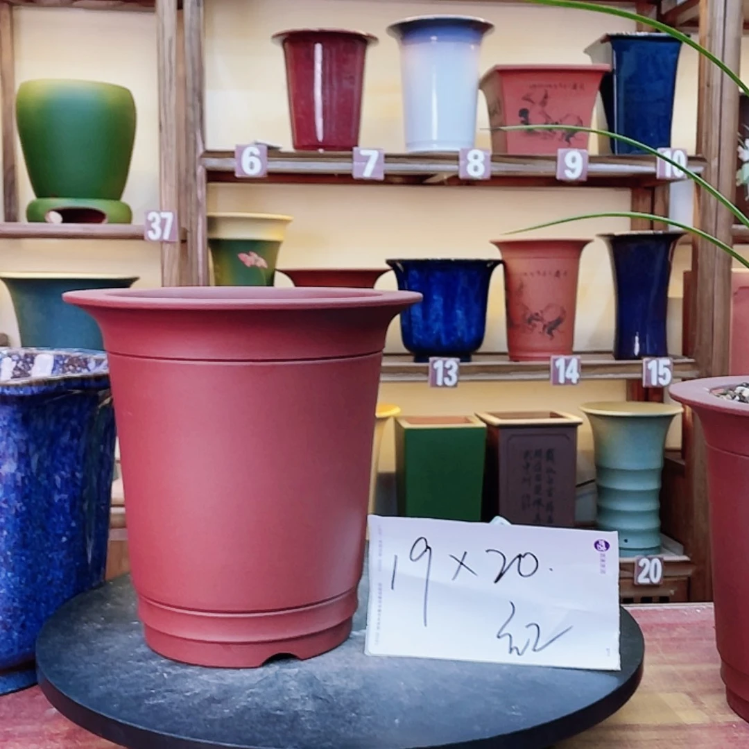 【闪购商品】紫砂花盆兰花455685566885665255