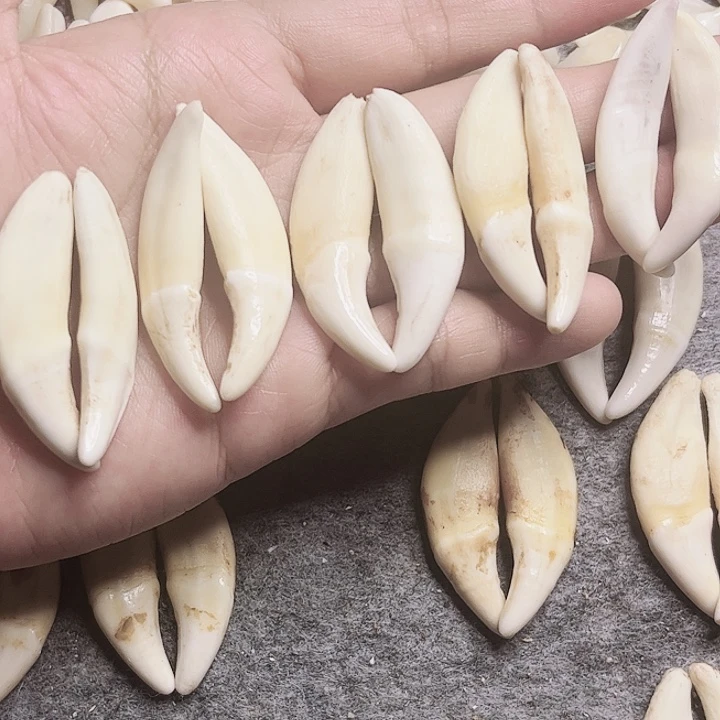 非金属无原生黑牙5对
