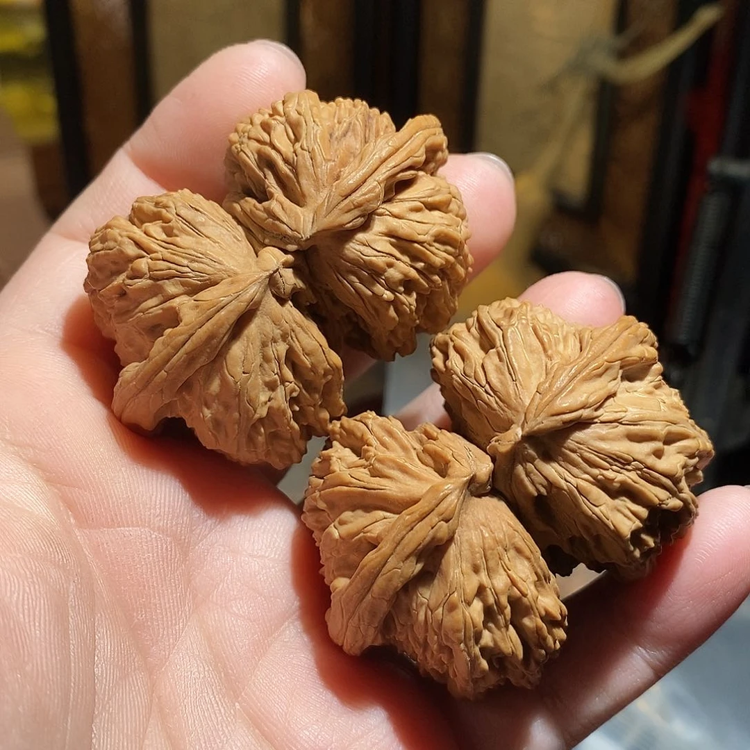 文玩核桃把件57白狮子连体全品