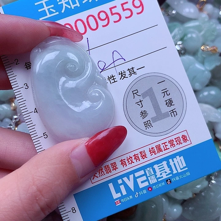 翡翠未镶嵌颈饰9559