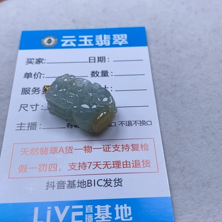 翡翠未镶嵌颈饰多人貔貅