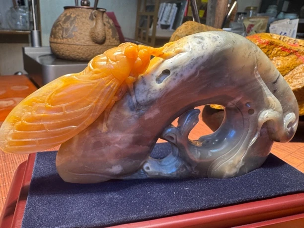 昌化牛角冻买件，一鸣惊人