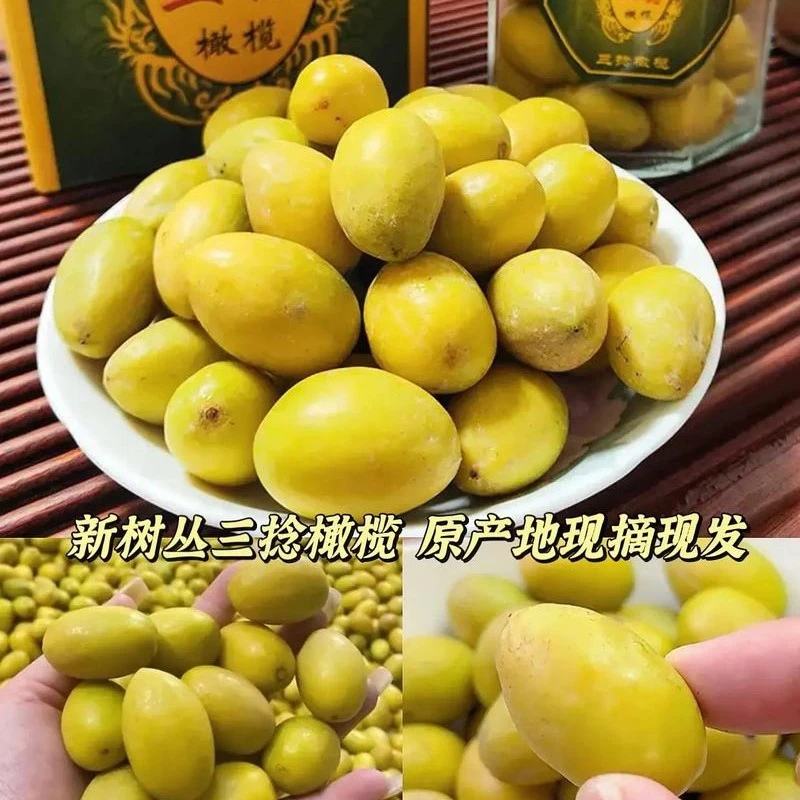 金灶本地三捻橄榄