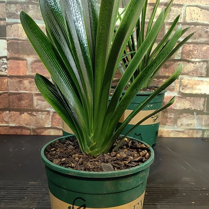 完全开放1111111111