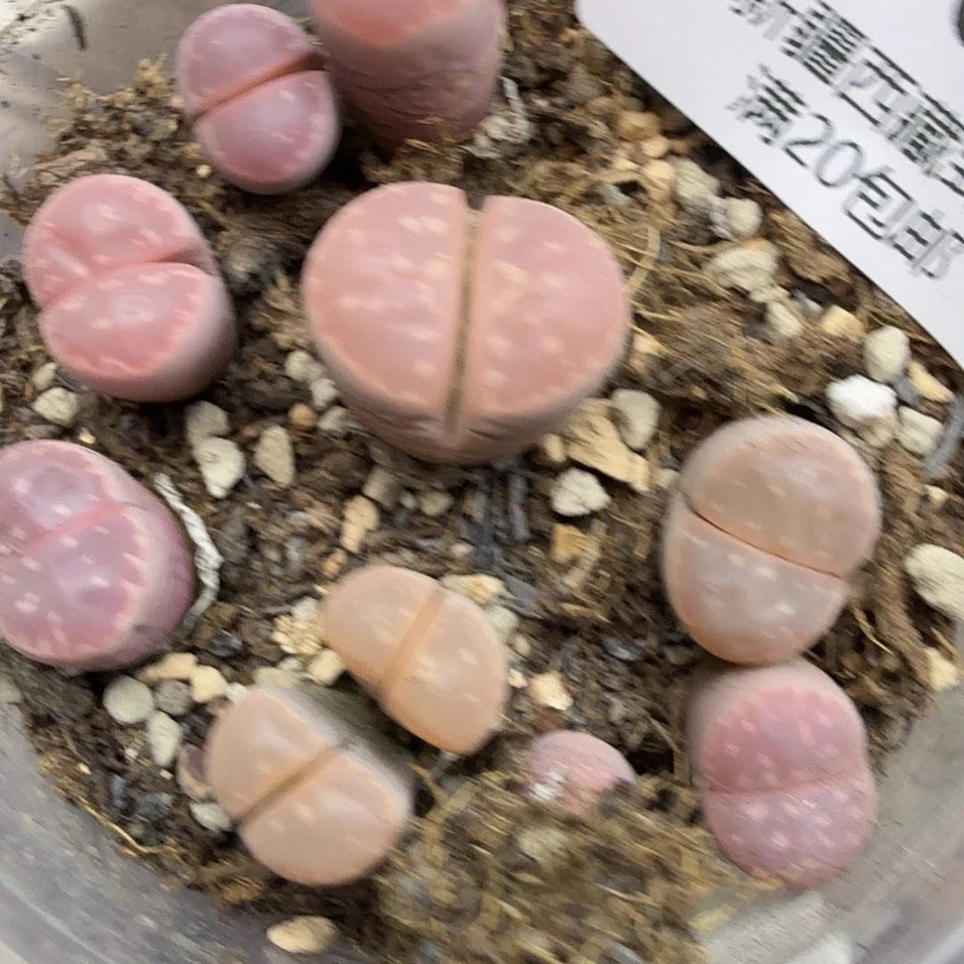 我就觉得他在和别的763我