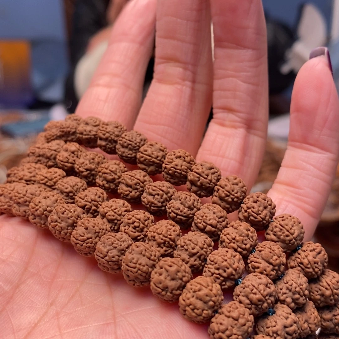 放***想菩提籽类老树梅花