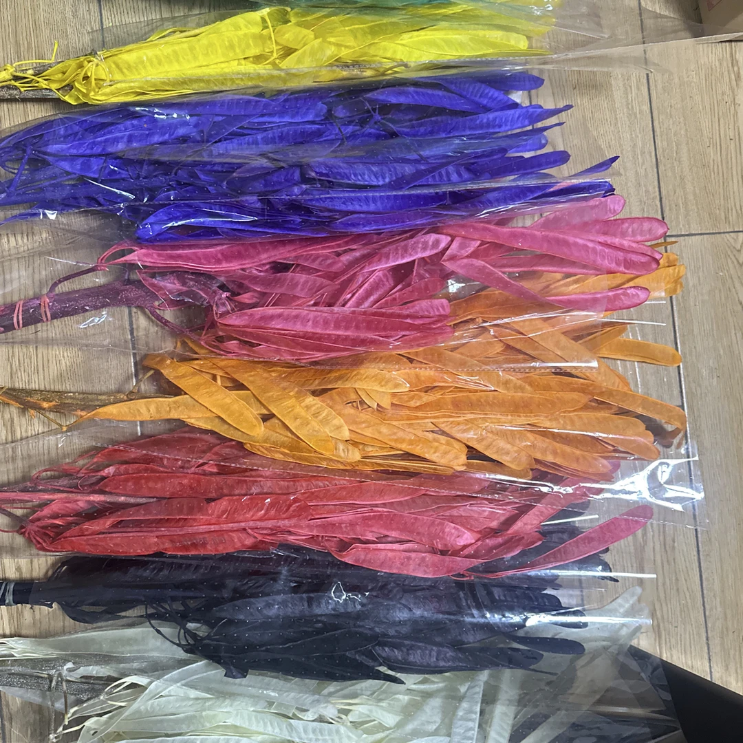 扁豆豆荚永生花真枝装饰摆设插花婚庆软装陈设造景配花配材