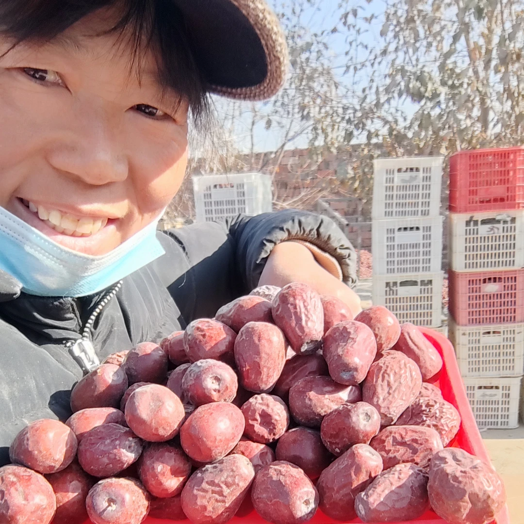 新疆和田大枣  三级枣 产地农户直发 不清洗不加工  新疆特产包邮