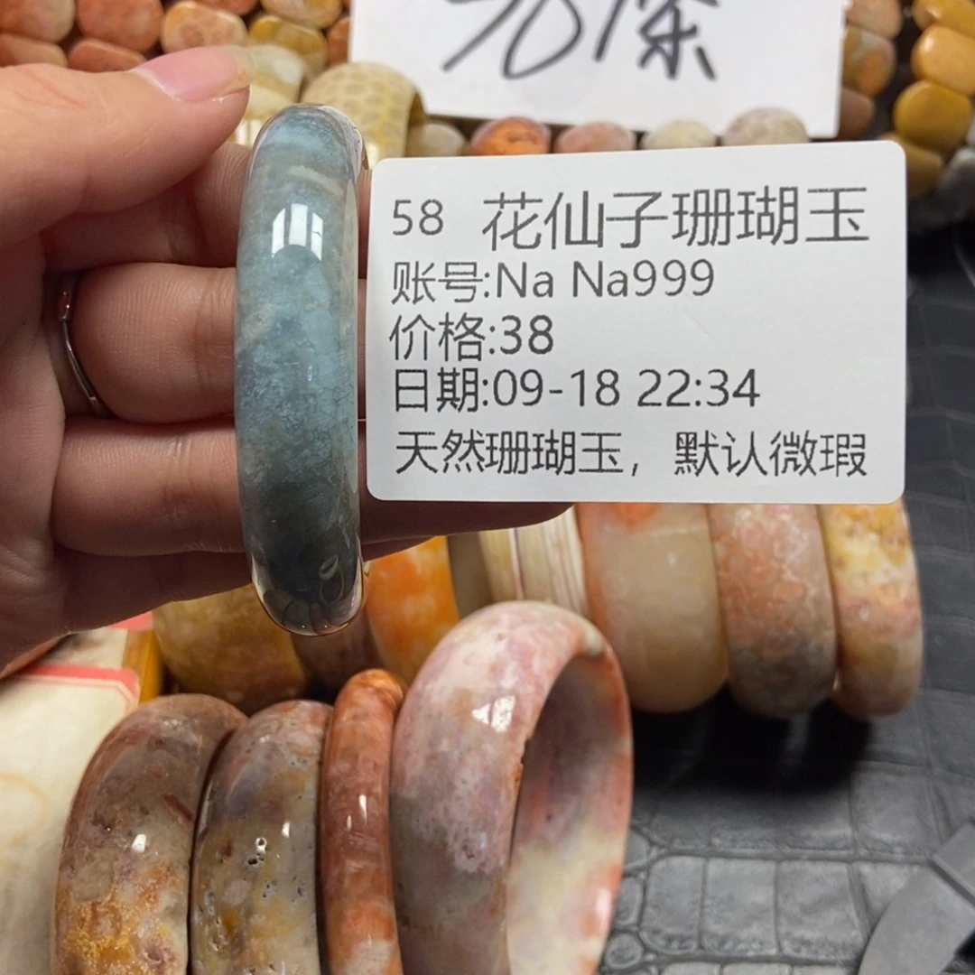 N***9未镶嵌硅化珊瑚（珊瑚玉）珠宝半成品58