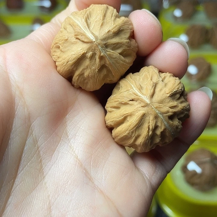 秦***文玩核桃吊坠粗筋西瓜纹