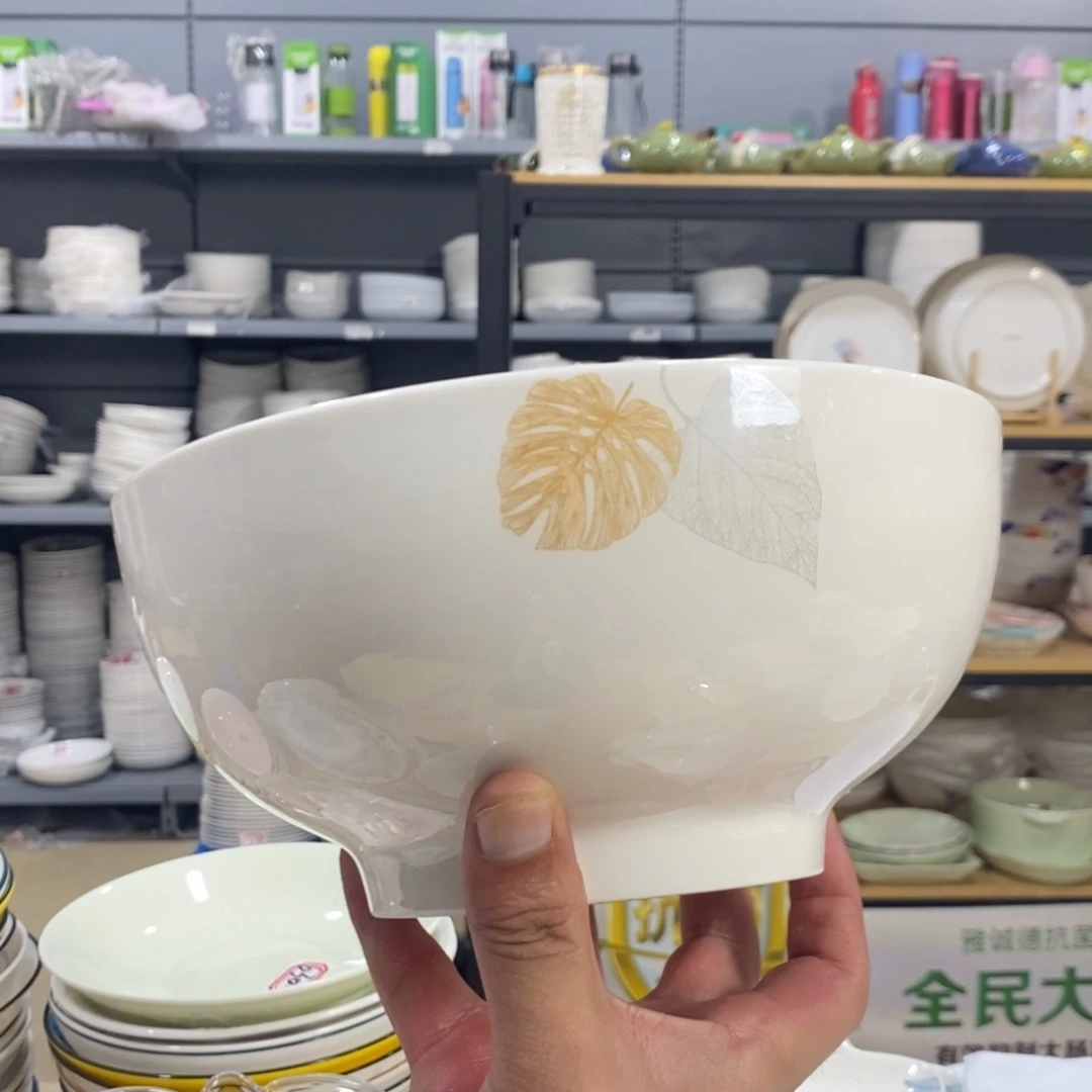 搪瓷1539号2个装8寸雅诚德大汤碗面碗