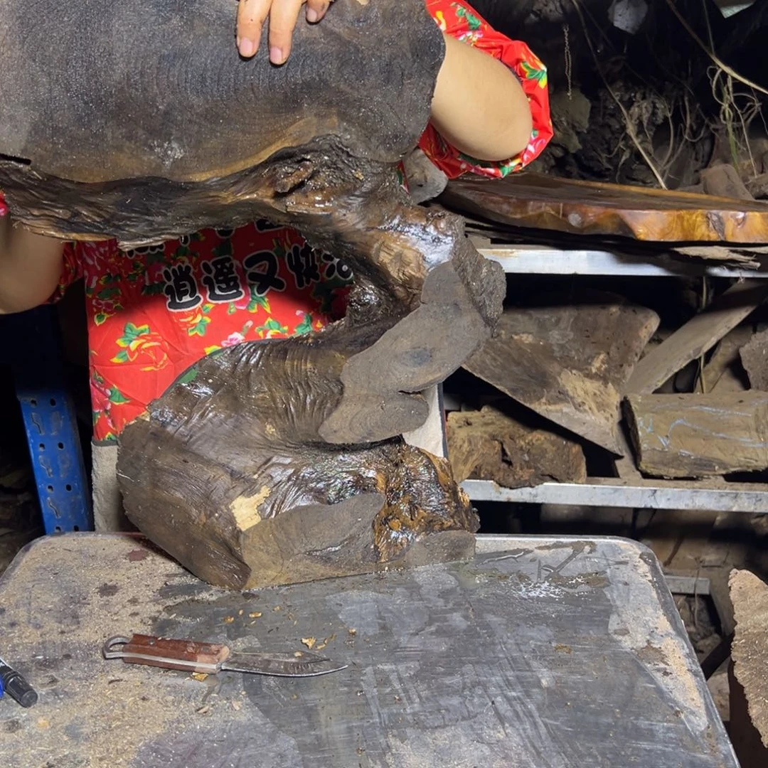 L***Z金丝楠2222222222222222222