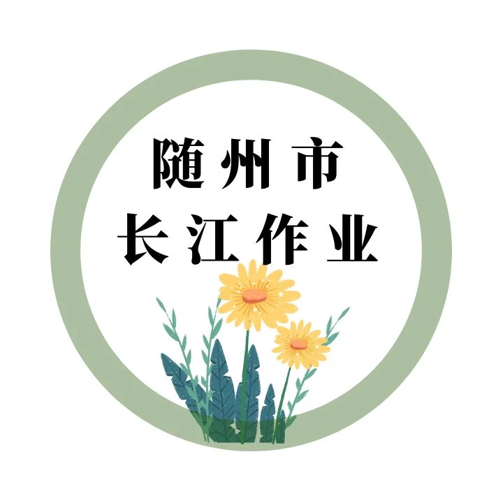 曾都区、随县长江课堂作业