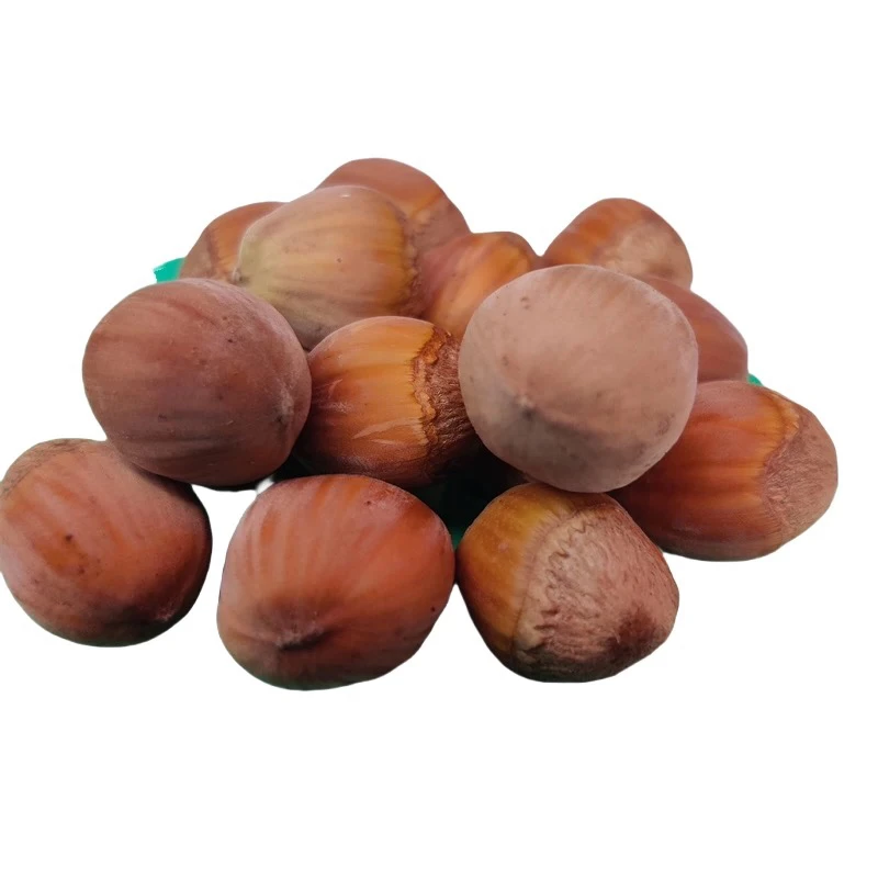 （嘉沫参茸）榛子梅花鹿产地吉林发货［内容以直播间为准］