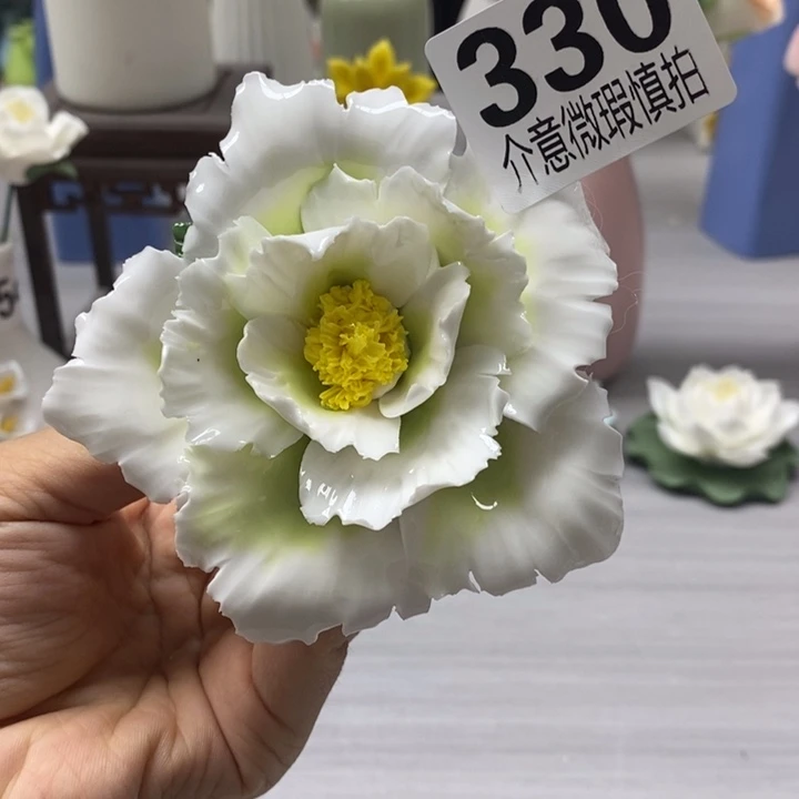 陶瓷陶瓷材料加工