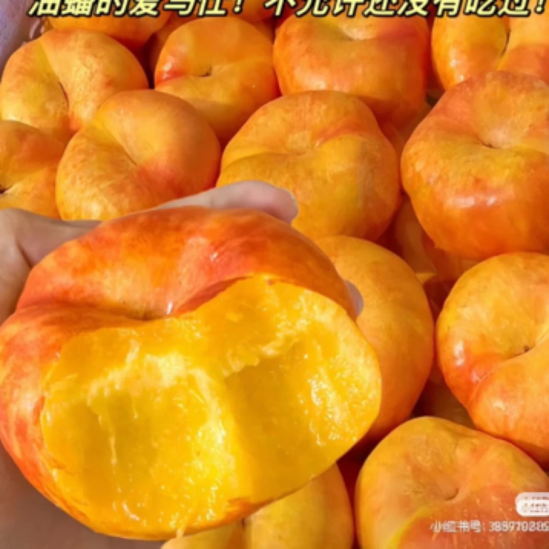 黄金油潘桃3斤30辽宁省