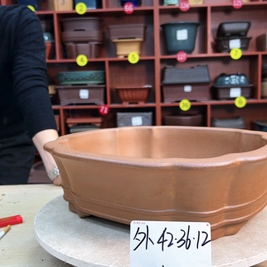 红陶用****7紫砂花盆里放上