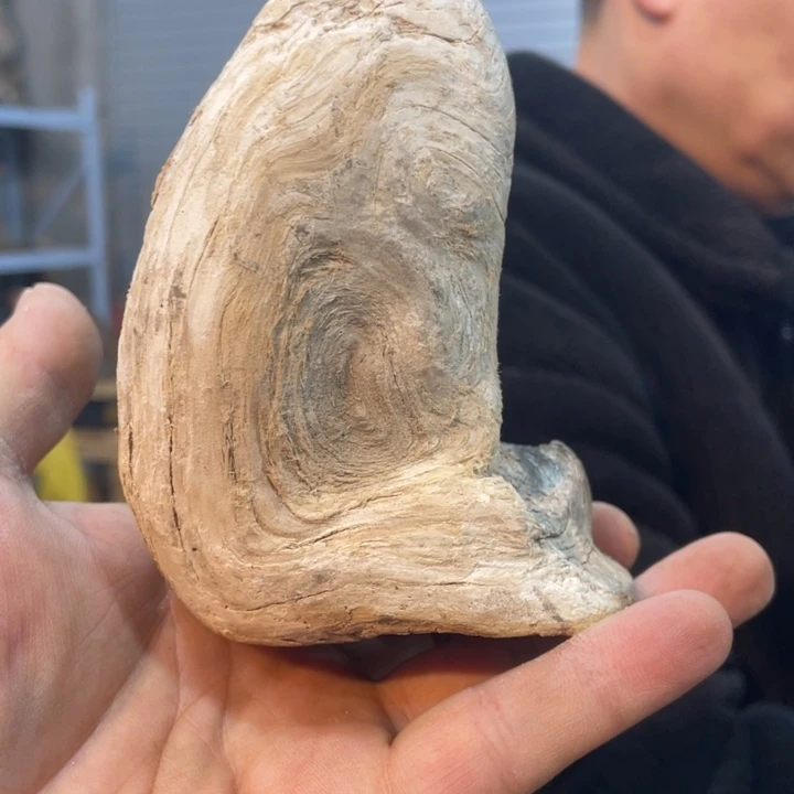 用****1我们都是好孩子呀