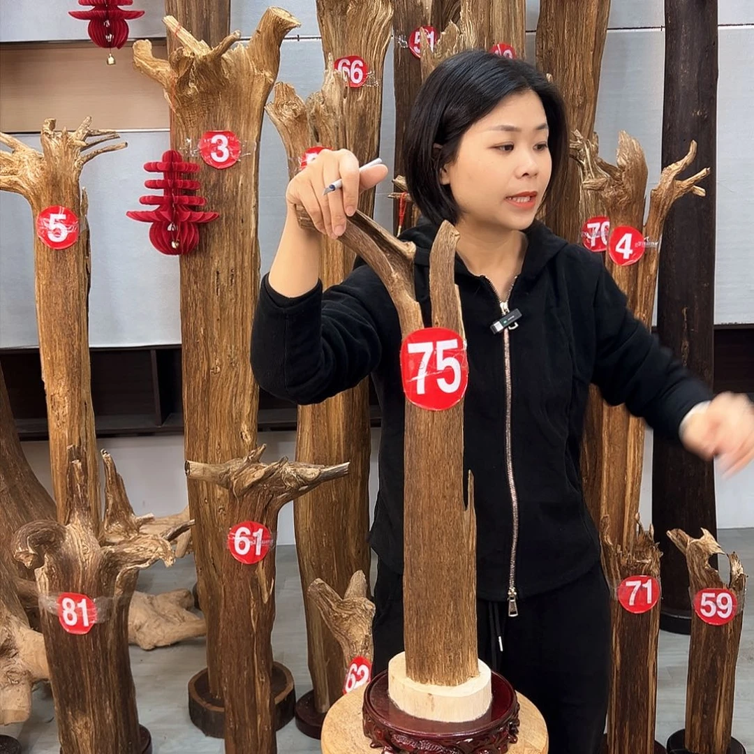 沉香摆件$**$海南沉香摆件