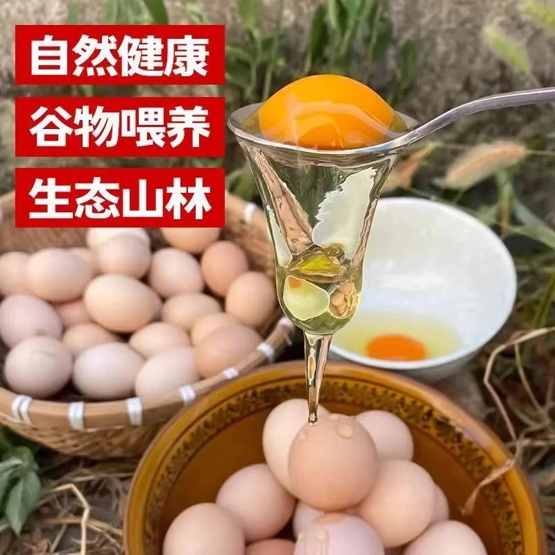 《20枚土鸡蛋》皖南九华山高山山林散养五谷土鸡蛋现捡现发