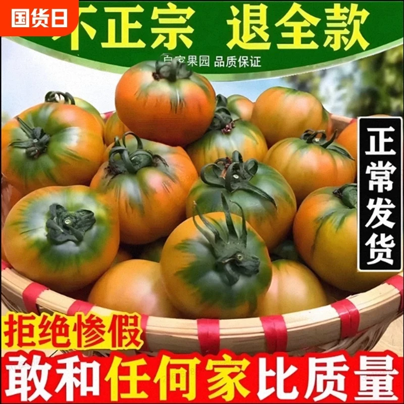 正宗盘锦碱地柿子5斤中果
