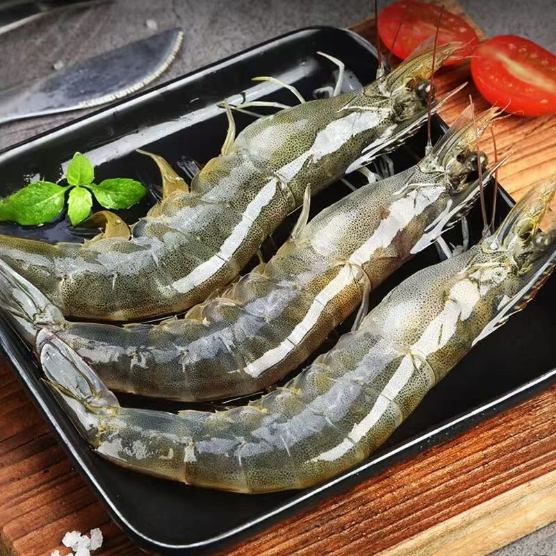 （青岛海虾）20-30大号虾 15-18cm