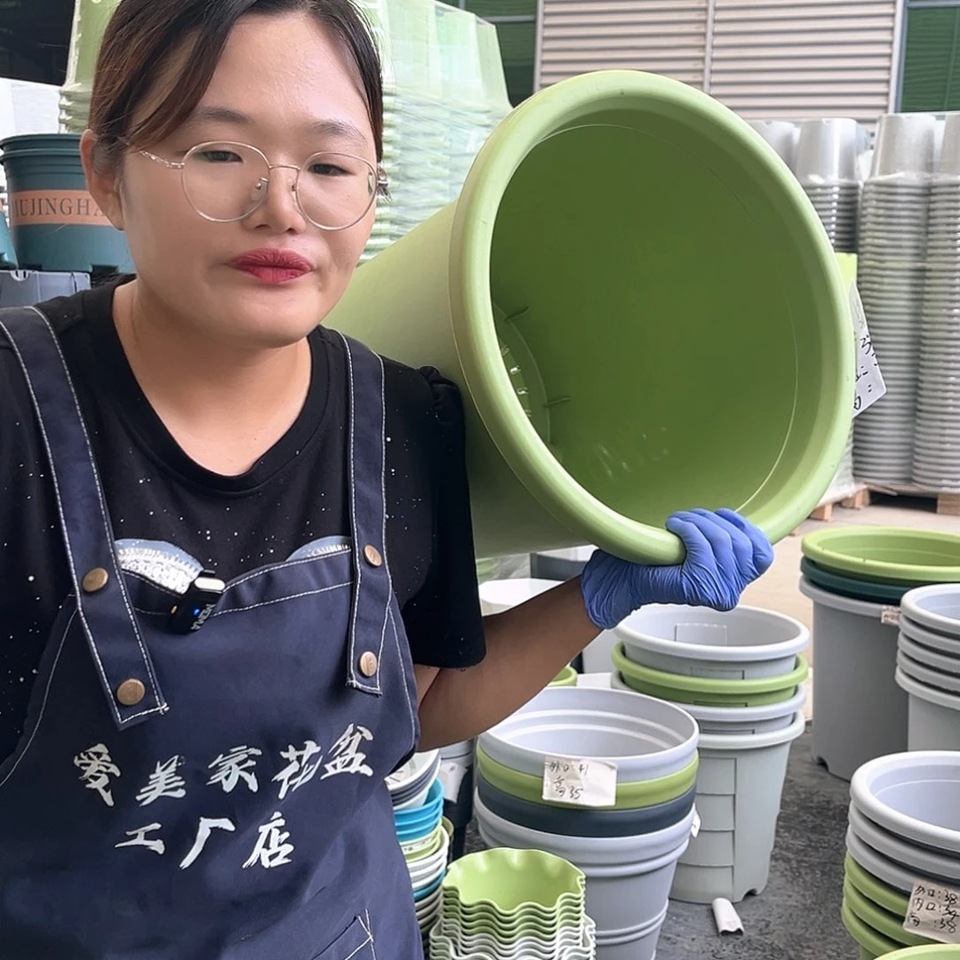 青山盆7#果绿色5个含托