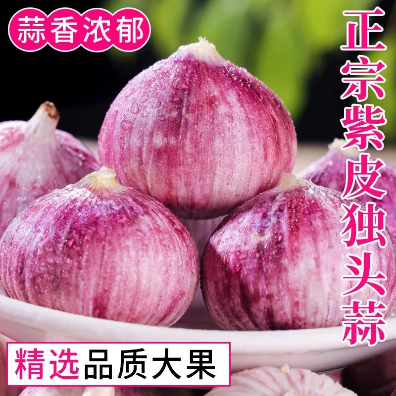 3斤农家自种新挖紫皮独头蒜干蒜大蒜头饱满紧实炒菜调味