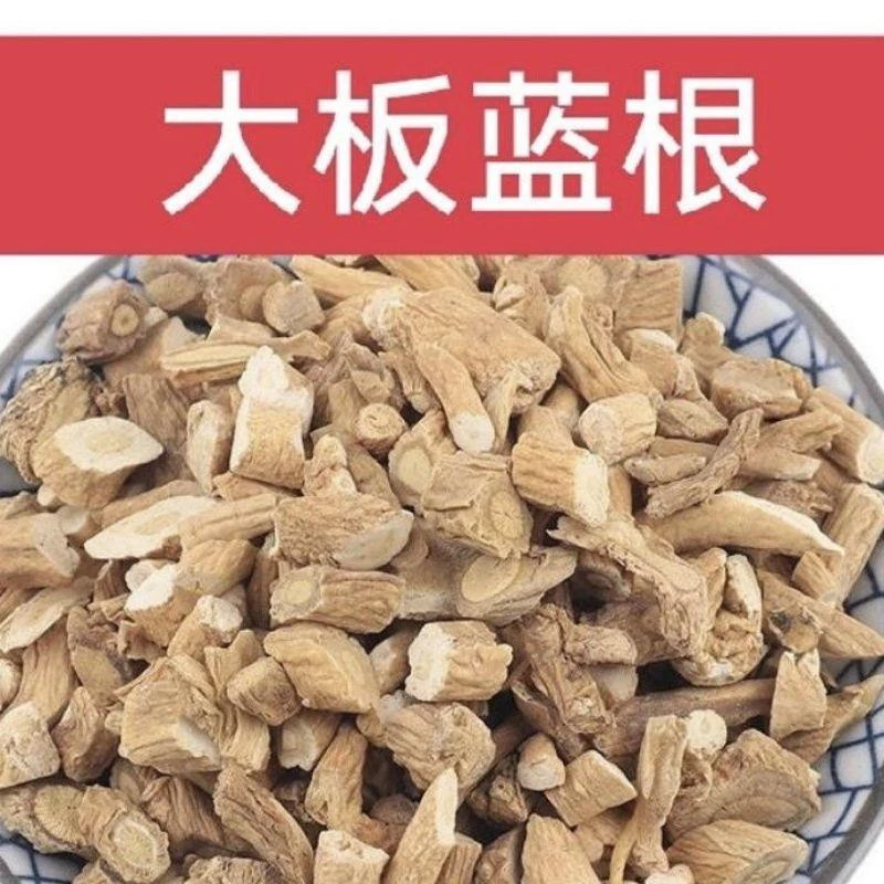 板蓝根包邮新货无硫干板蓝根切段切大青叶根中药材泡水