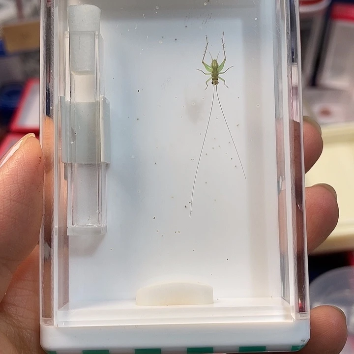 虎***哈哈哈哈哈哈哈哈