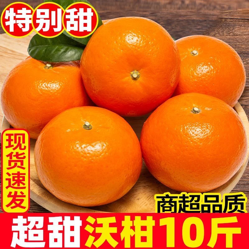 唐老师1云南哀牢山高山沃柑应季水果新鲜采摘原产地直发