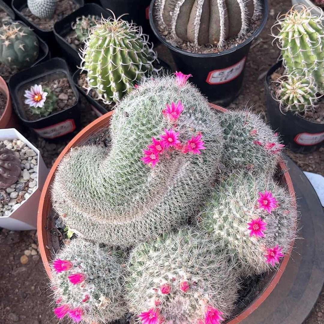 渔翁醉话一一一一一