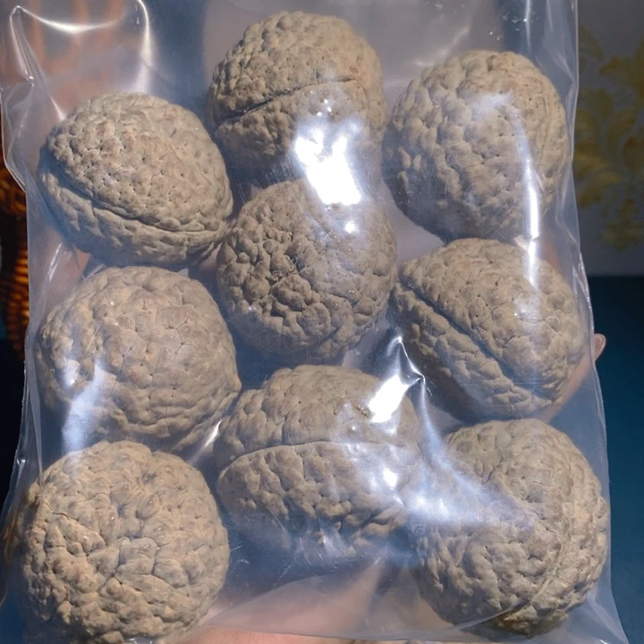 野生三瓣要纹大金刚
