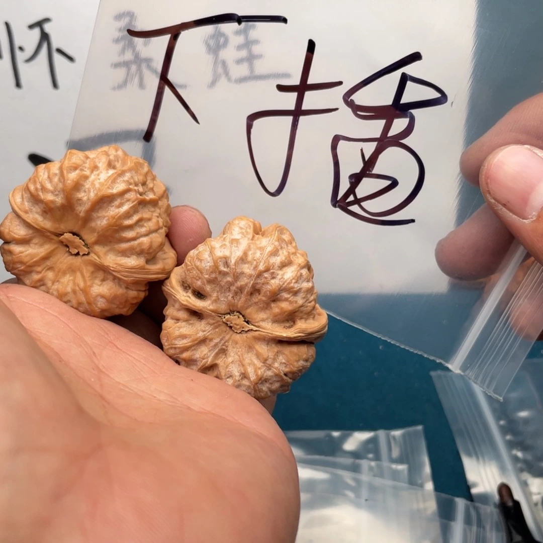 核桃手串/手链W638386368836386