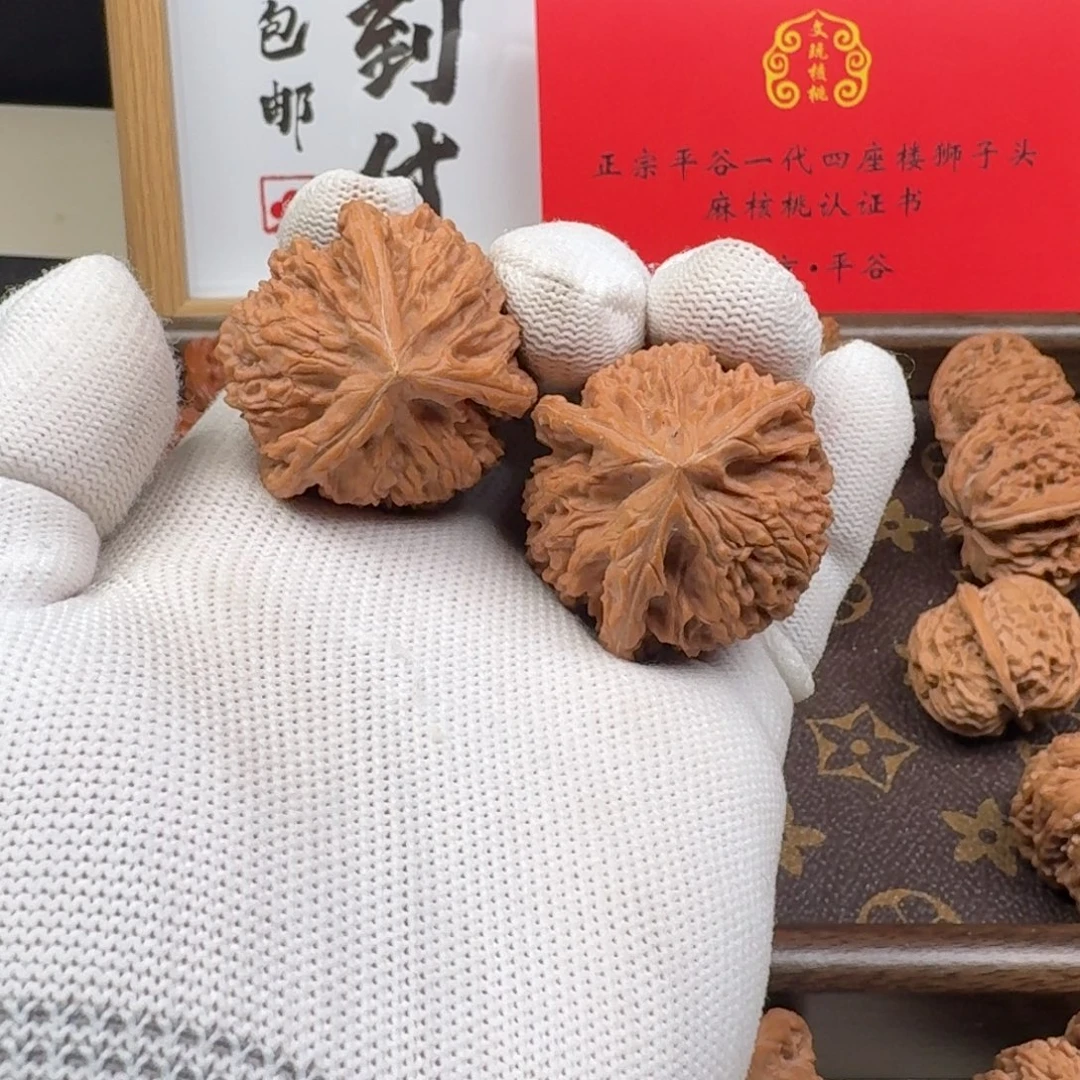 核桃御龙粗筋奔狮子头