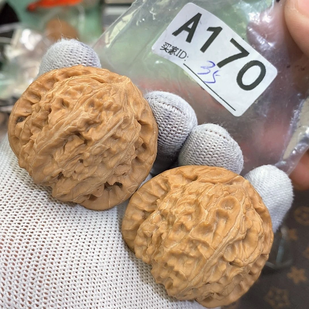 桃核把件43尺白狮子 水尖