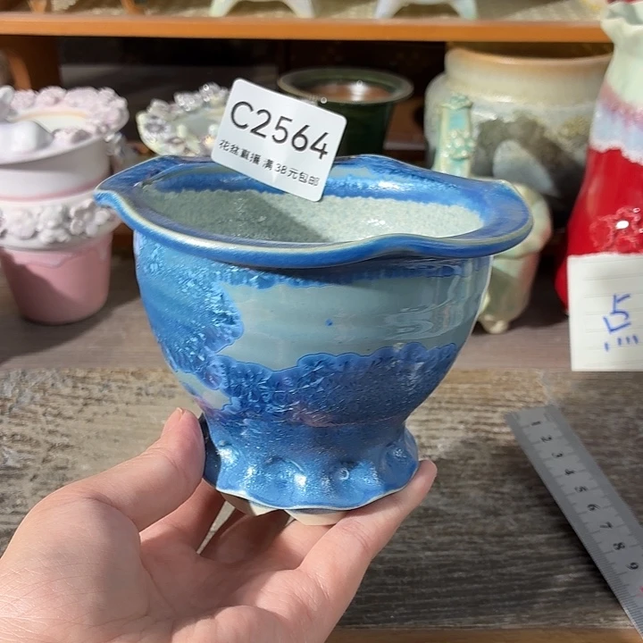 花盆花盆花盆花盆