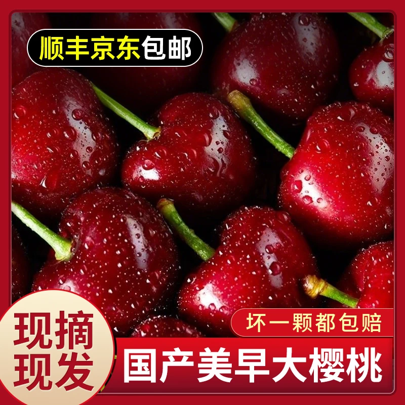 S1山东美早大樱桃【顺丰/京东】国产车厘子新鲜水果现摘整箱5斤装