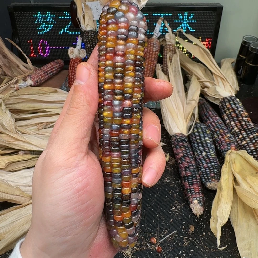 柏香籽/百香籽吊坠米*