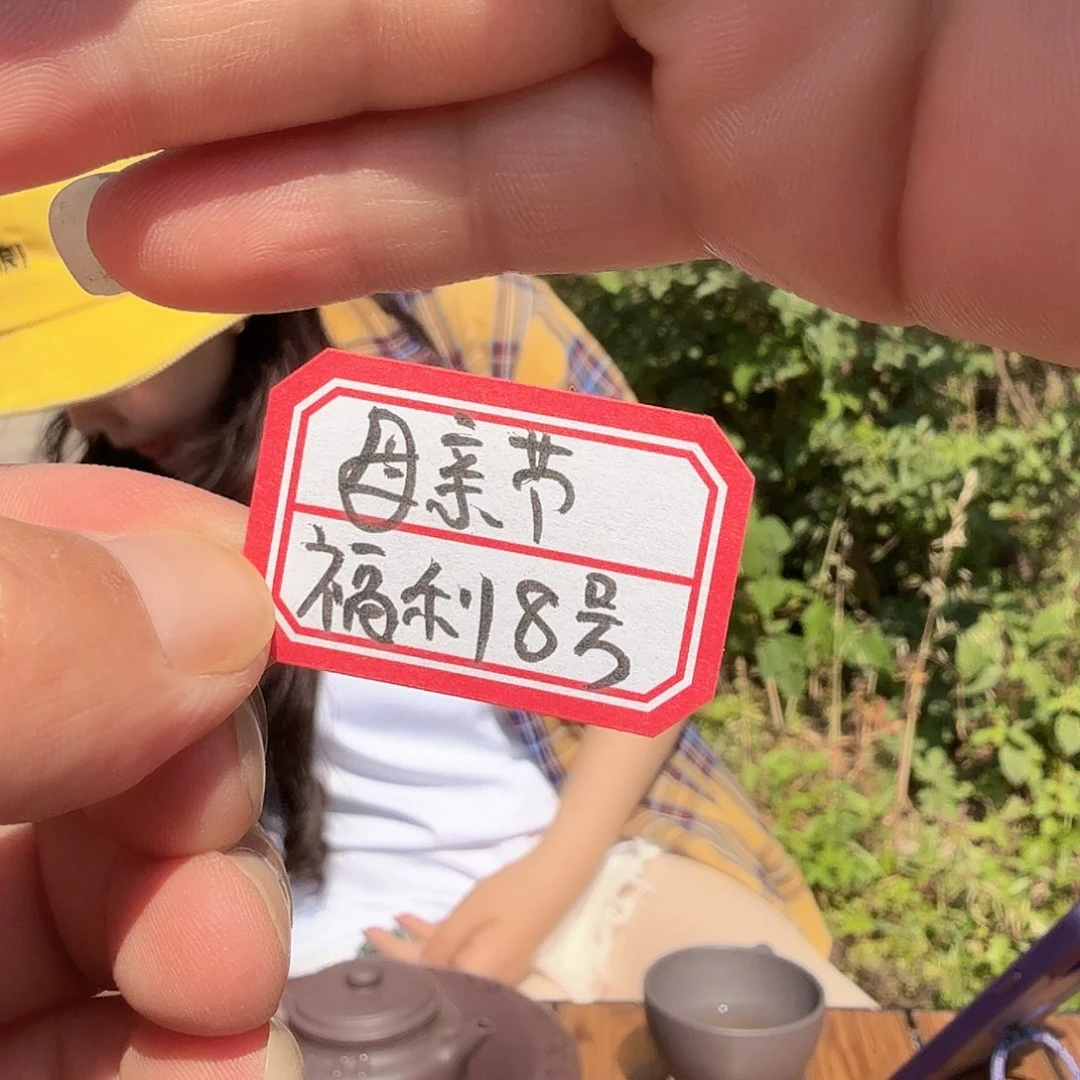 茶壶紫砂原矿紫砂福利8号
