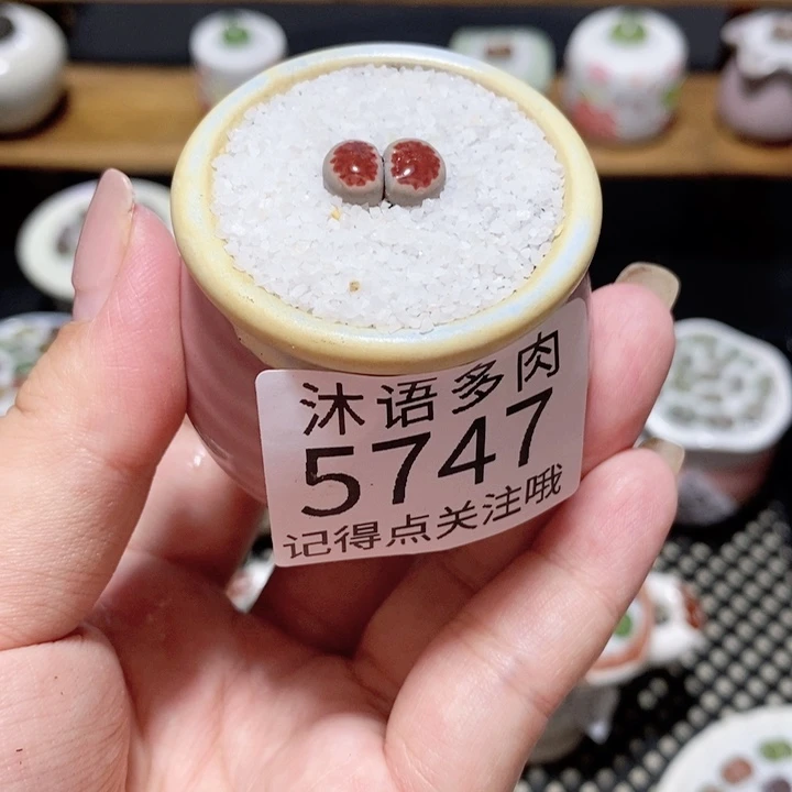&***L带盆土植物 一物一拍5747