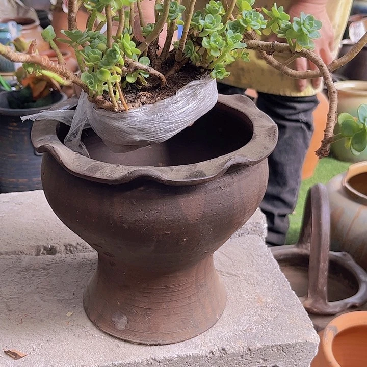 303号17×20×16口不正磕1111