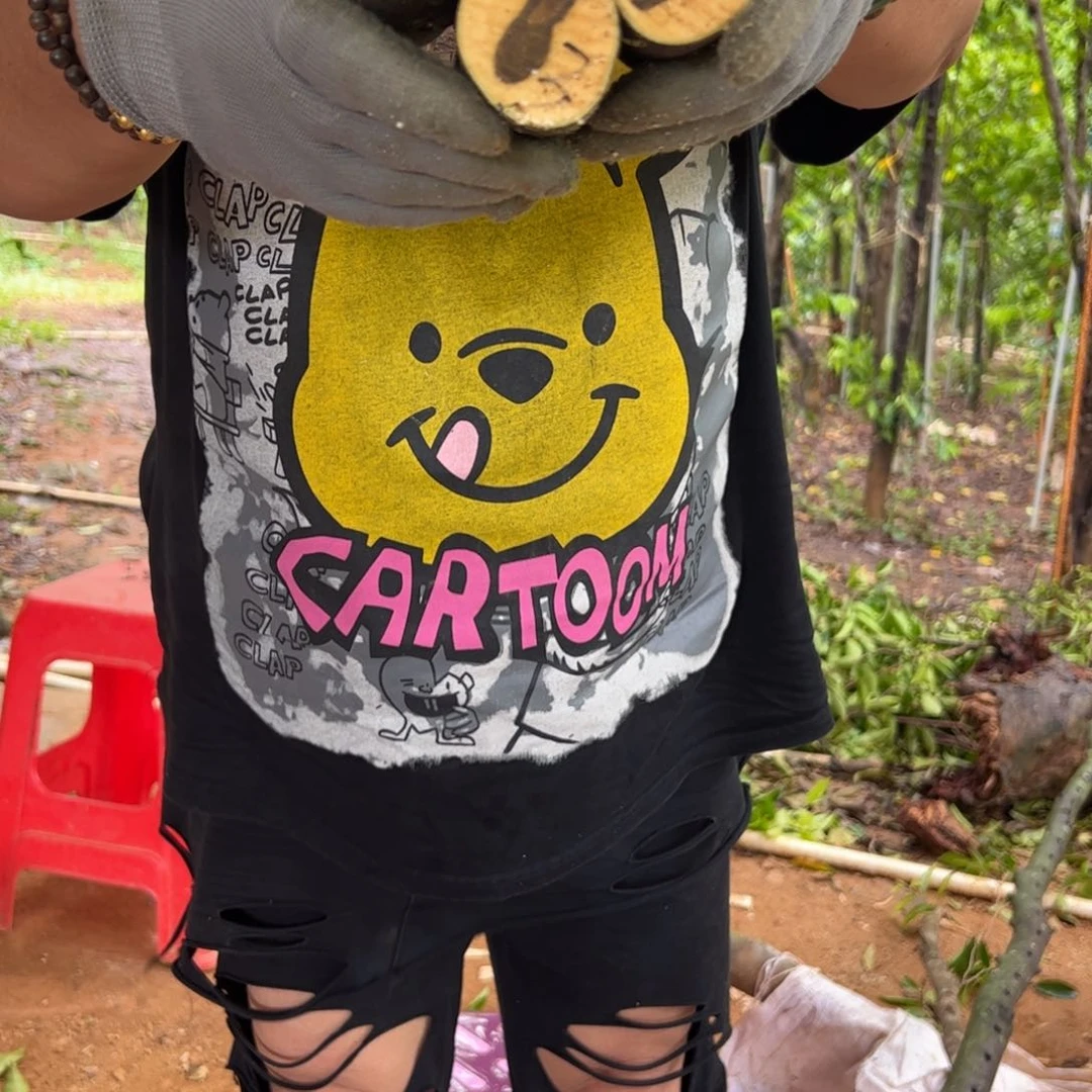 线香奇楠沉香原木段