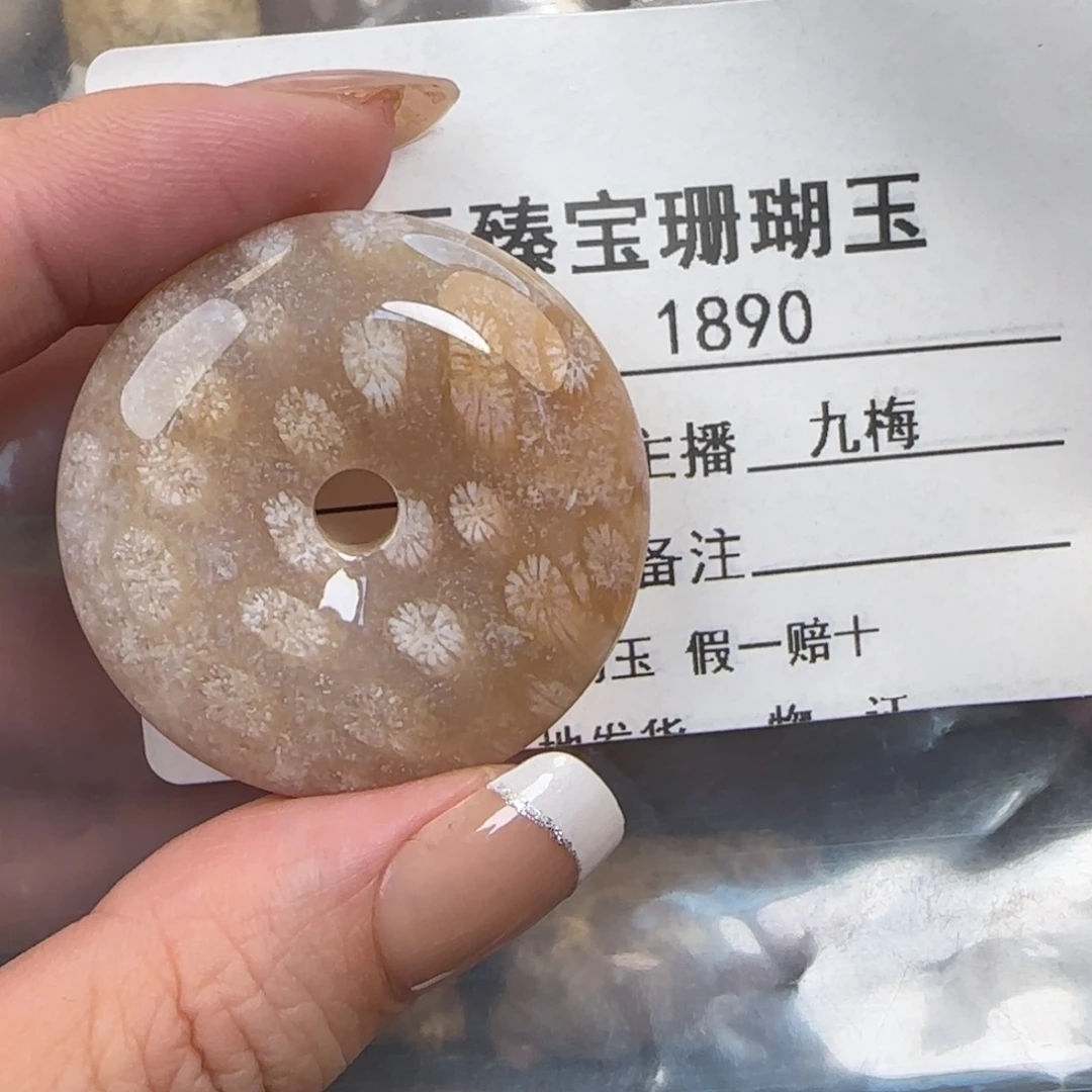 硅化珊瑚（珊瑚玉）未镶嵌颈饰