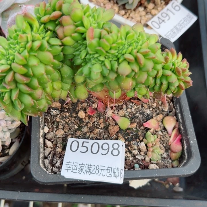 幸运的是我还没遇到过