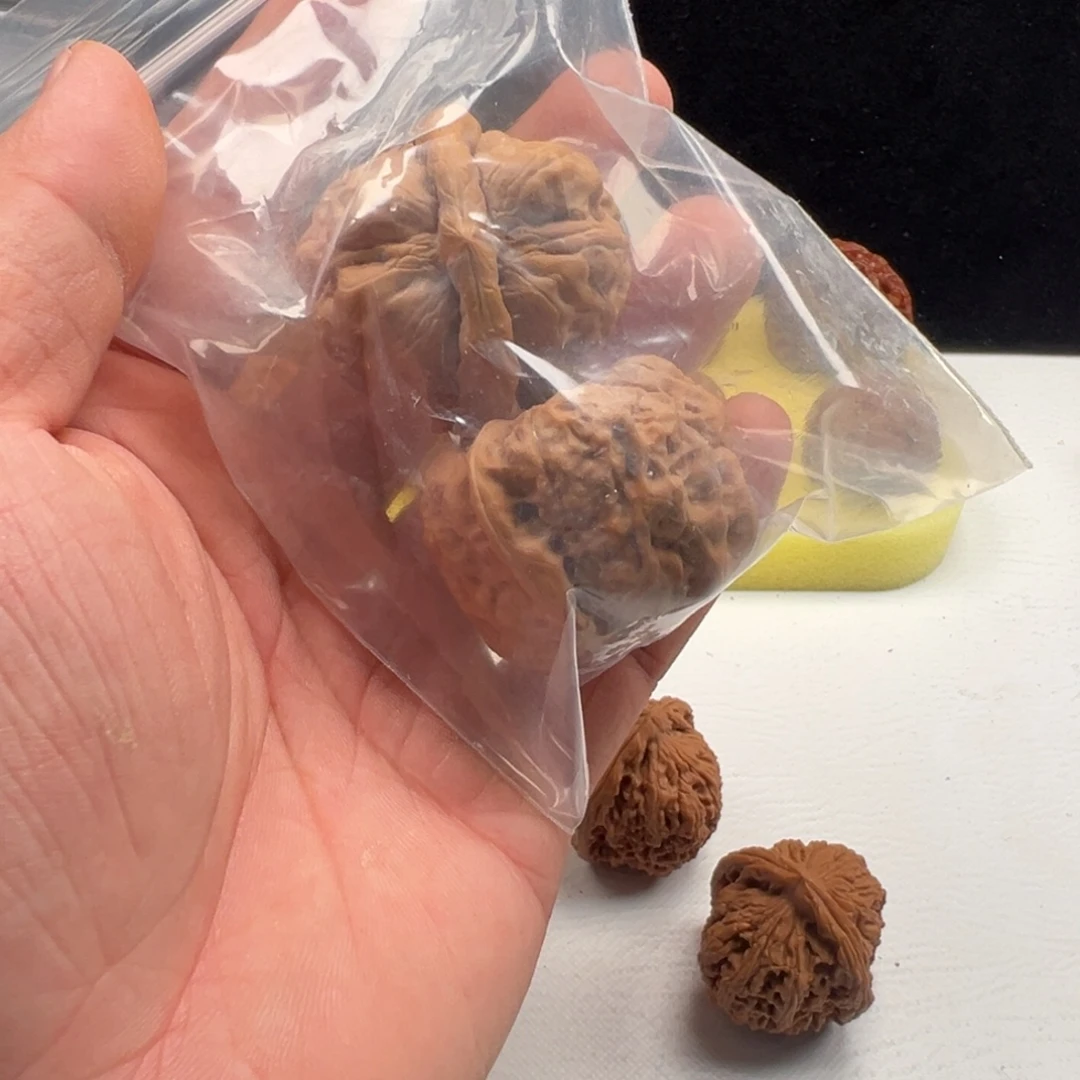 天***涵42精品蓟县山地蛤蟆